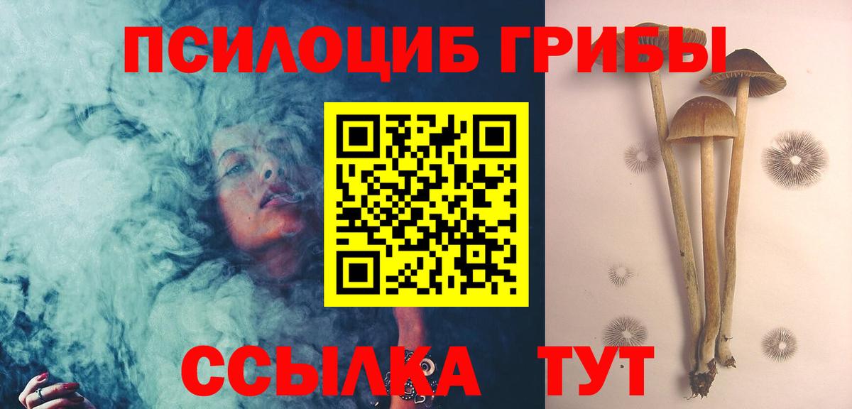 Хабаровск  Галлюциногенные грибы Psilocybe  Вход с VPN  Псилоцибиновые грибы Cubensis 